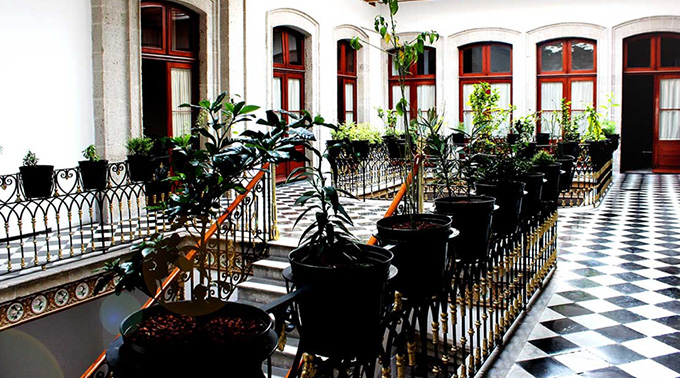 ¿Conoces el nuevo Museo del Perfume en México (MUPE)? ¿Conoces el nuevo Museo del Perfume en México (MUPE)?