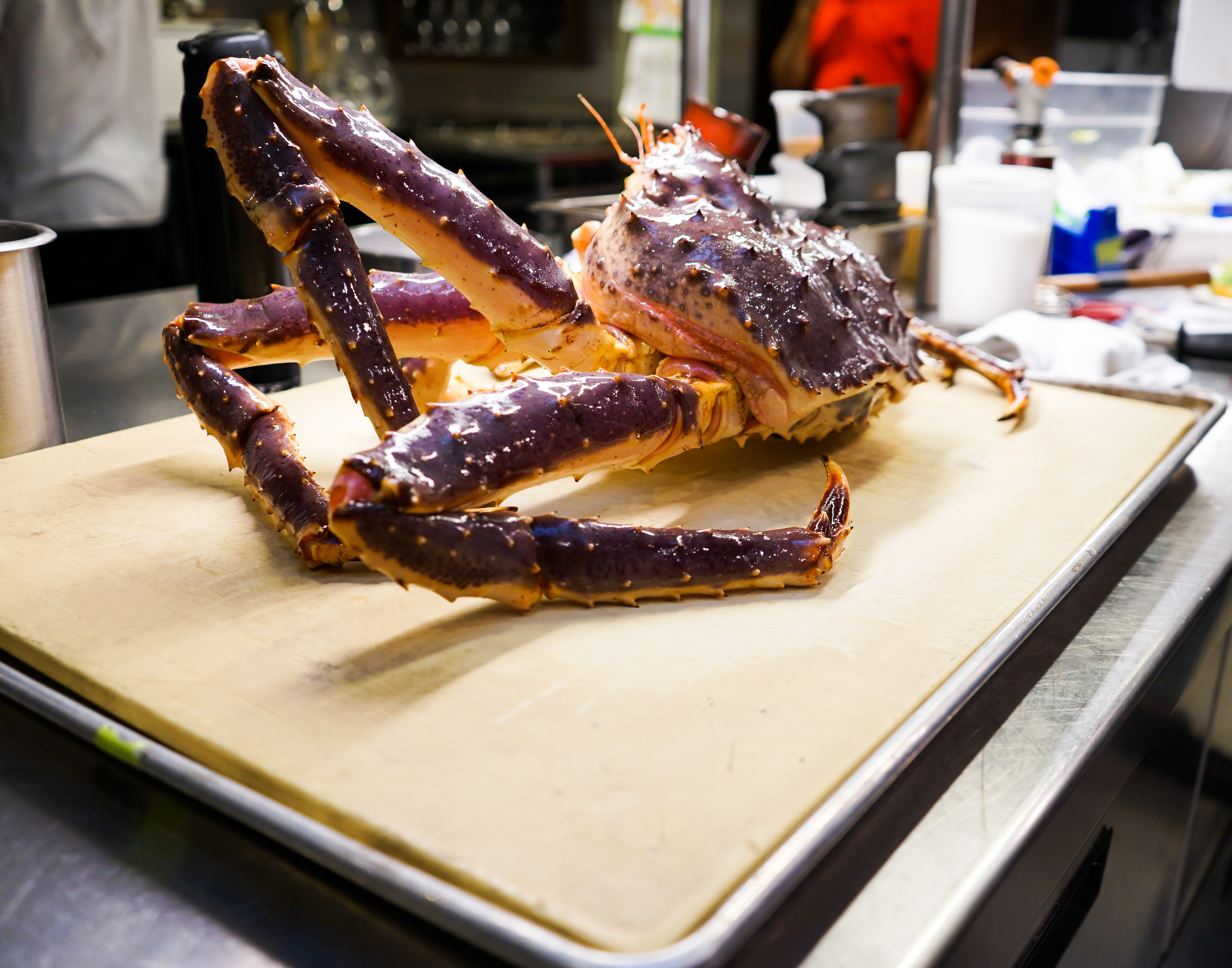 King Crab
