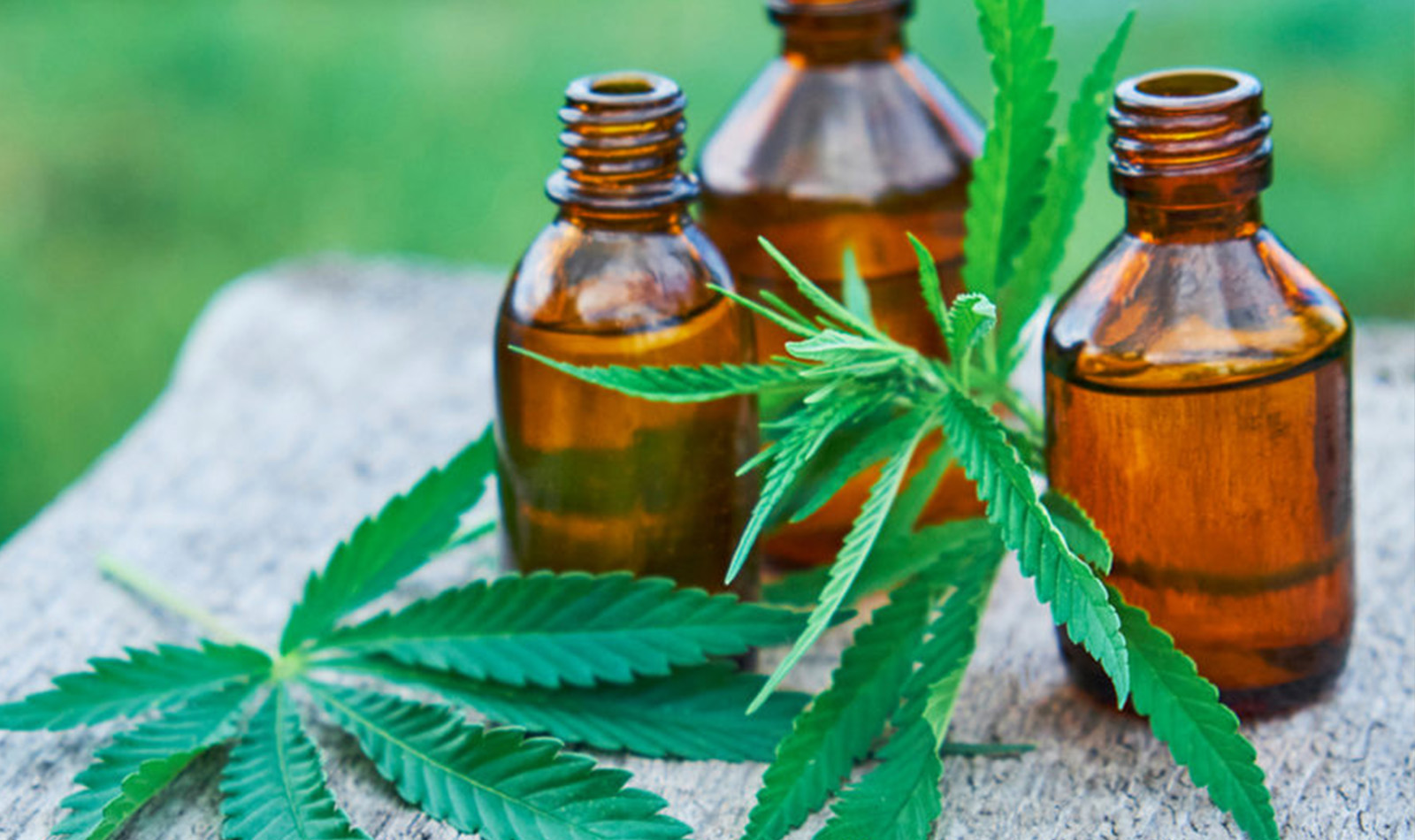 ¿Cómo funciona el CBD en el cuerpo humano?