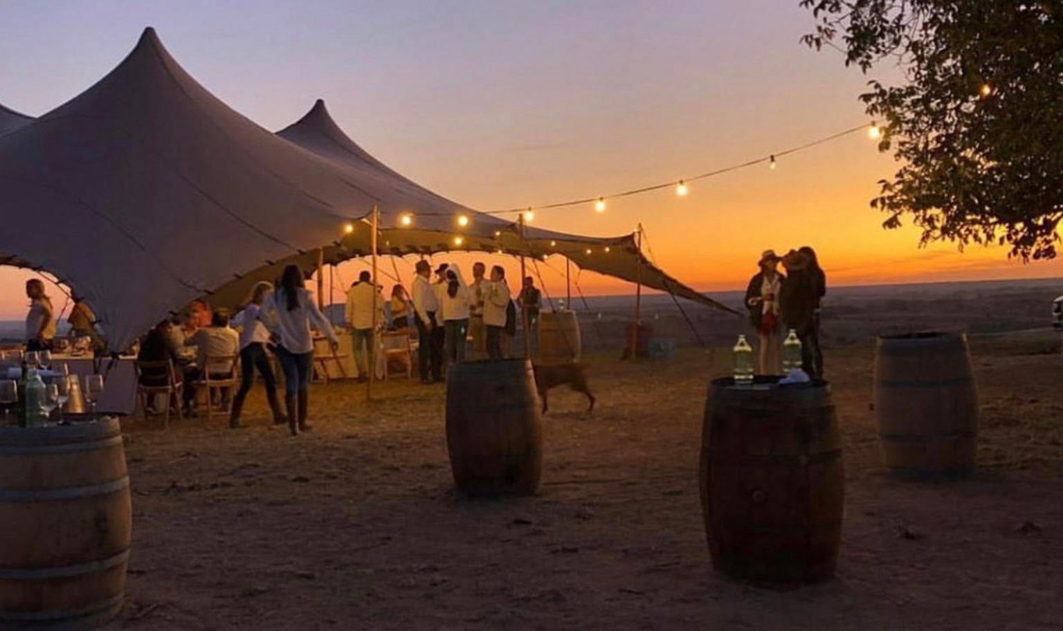 La Fiesta de la Vendimia en la Ribera del Duero