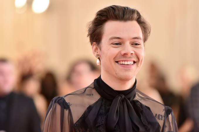 Harry Styles habla sobre su preferencia sexual