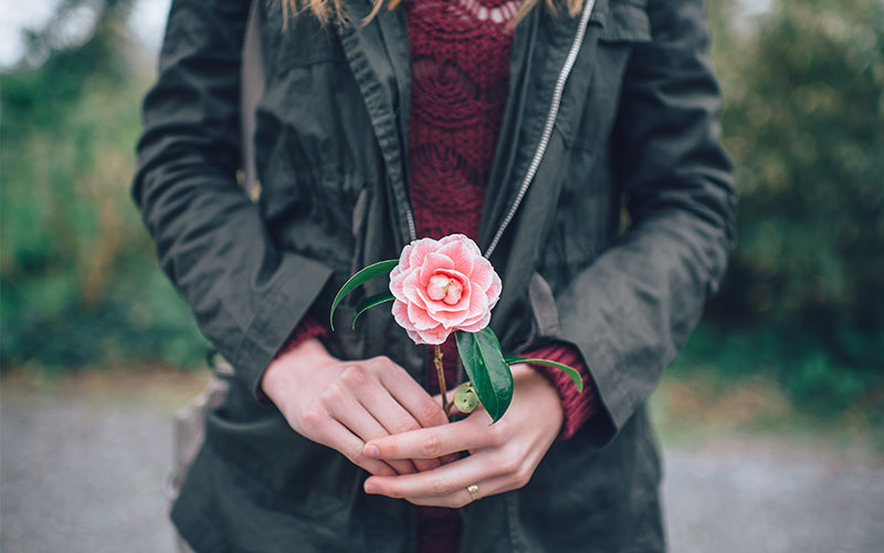 A las mujeres no se les toca ni con el pétalo de una rosa