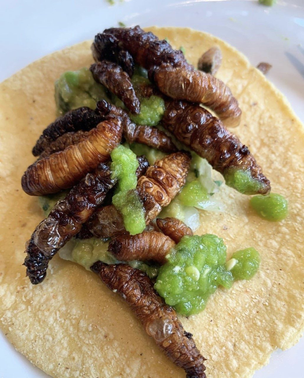 Día Internacional del Taco en México