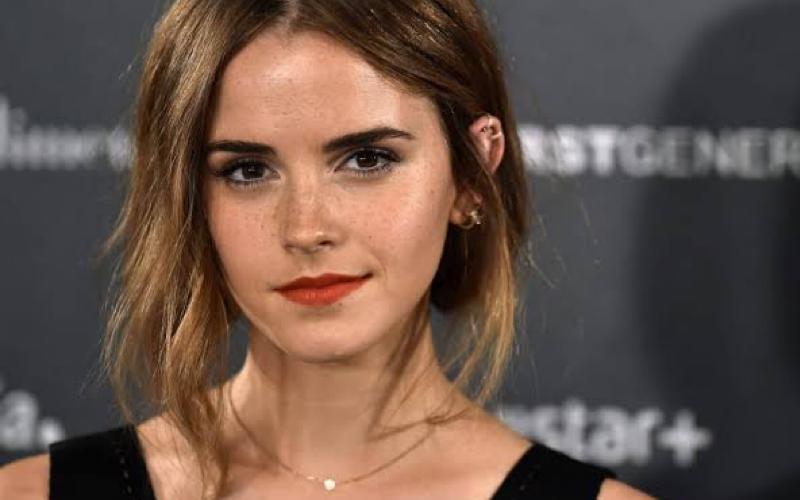 ¿Quién es el hombre misterioso con el que sale Emma Watson ?