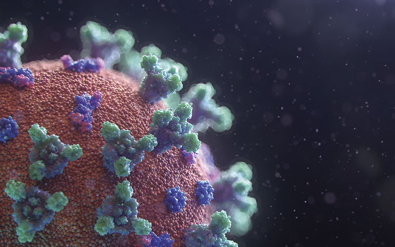 ¿Quién hizo una donación de 750 mil dólares para la lucha del coronavirus?