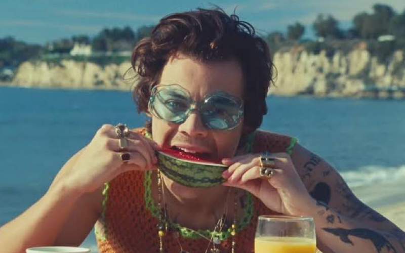 ¿Por qué todos hablan del vídeo de Harry Styles?