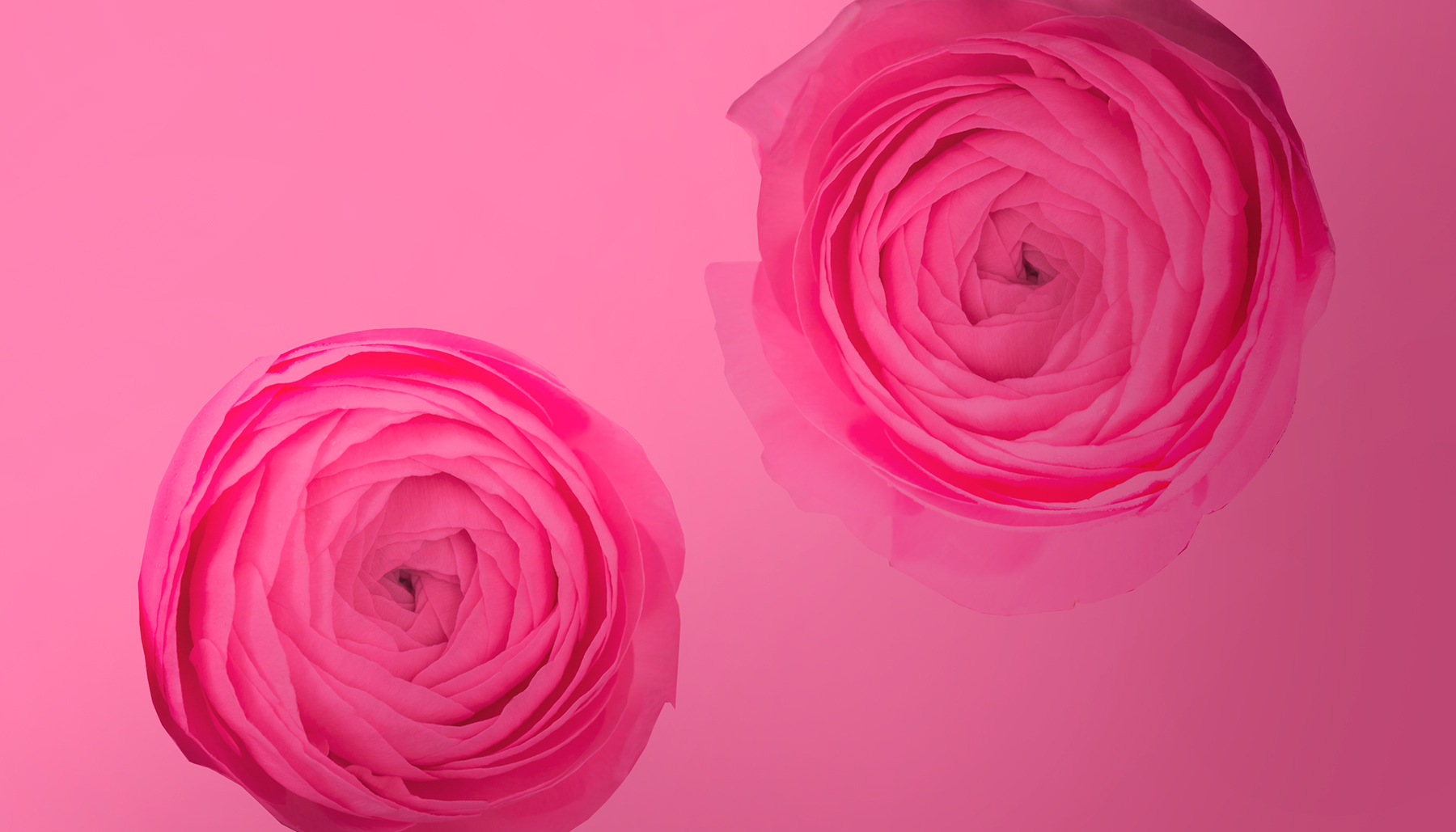 Los productos rosas que apoyan la lucha contra el cáncer de mama