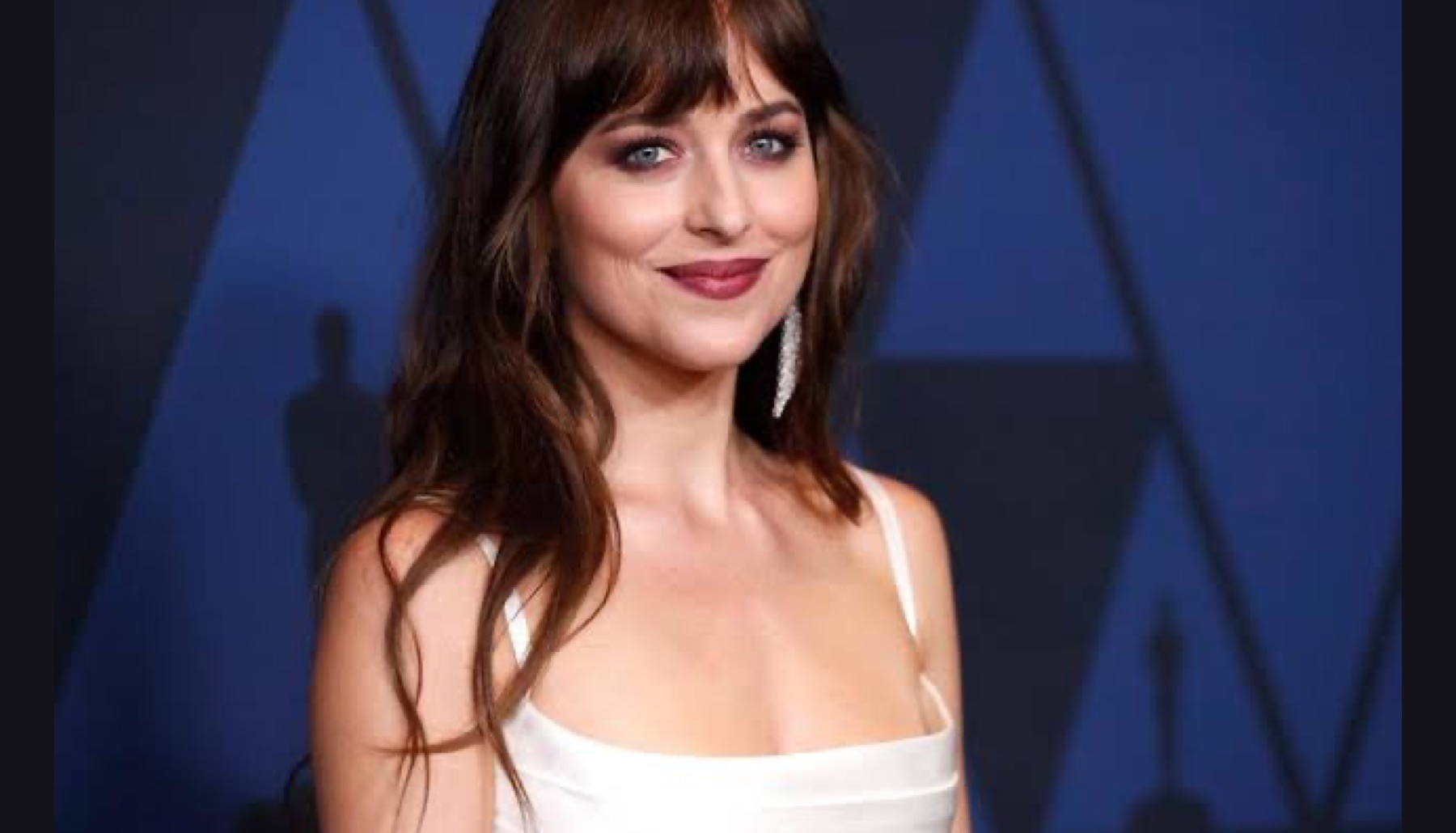 Todo sobre Dakota y Chris