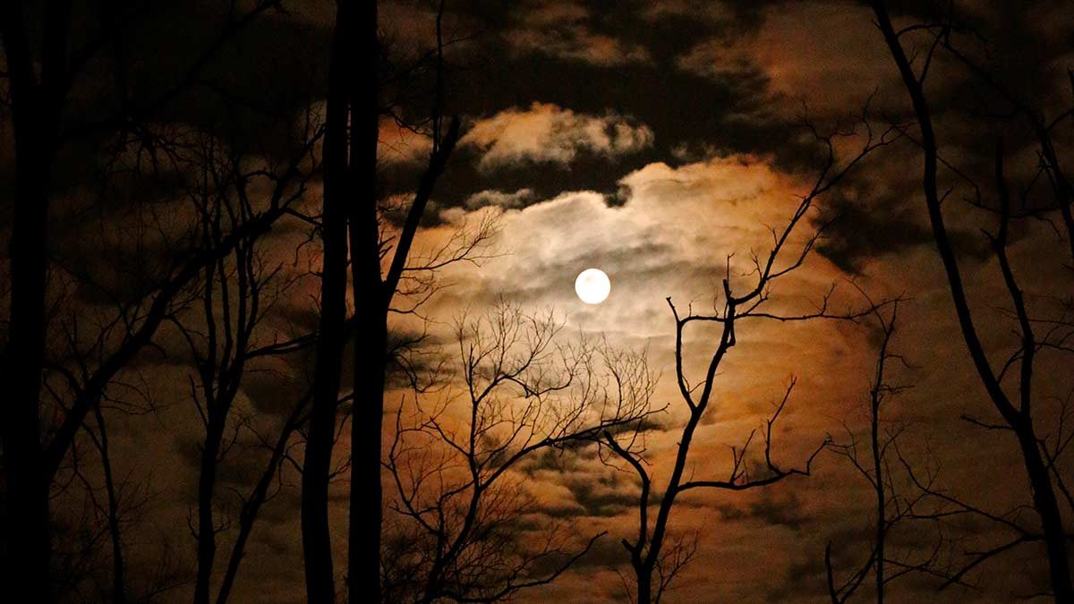 Luna Lobo: La primera Luna Llena del 2021 y su significado