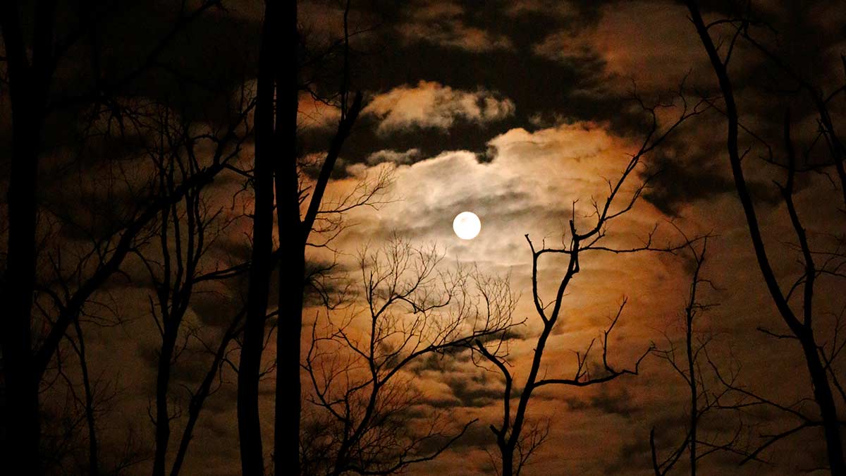 Luna Lobo: La primera Luna Llena del 2021 y su significado