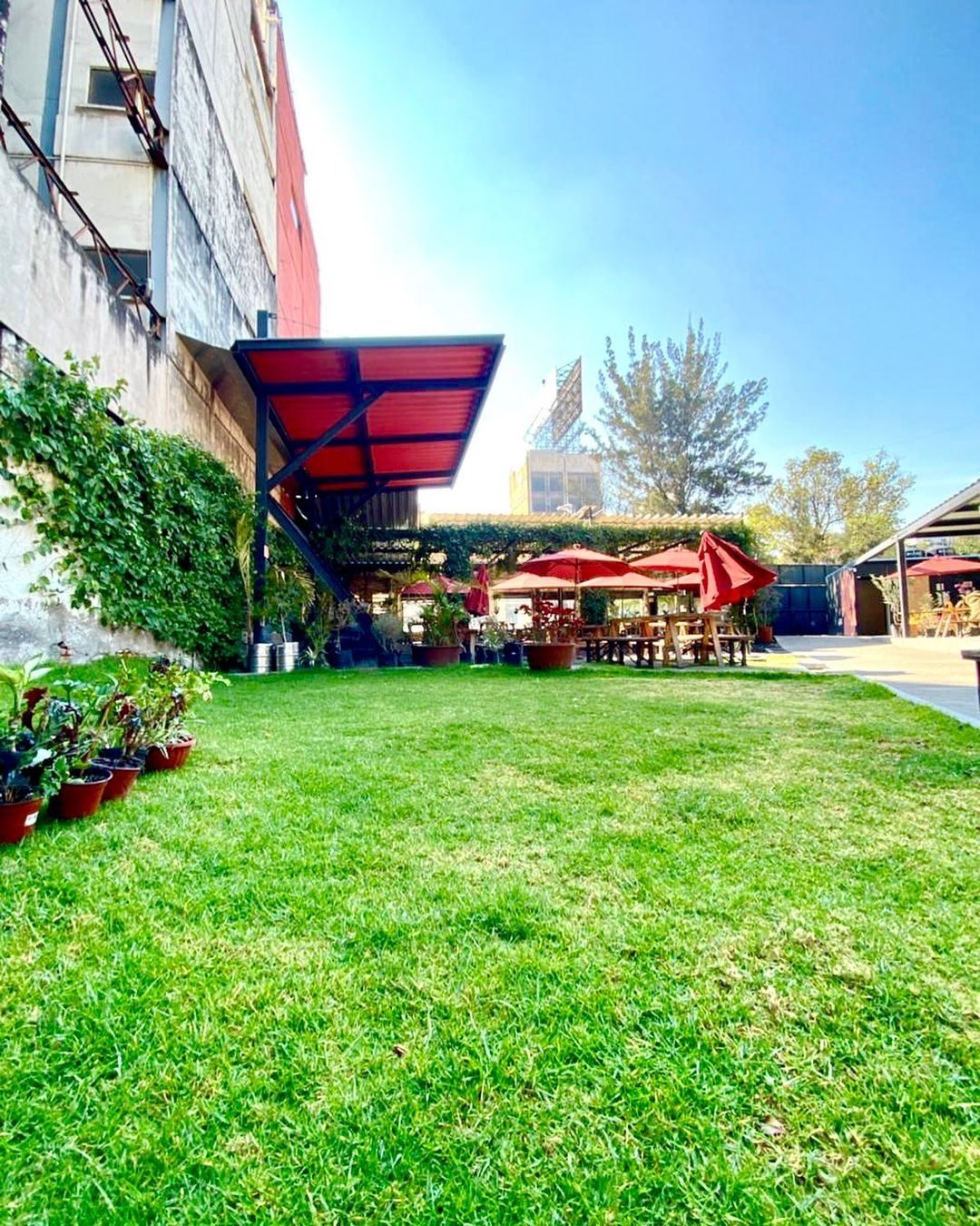 terraza