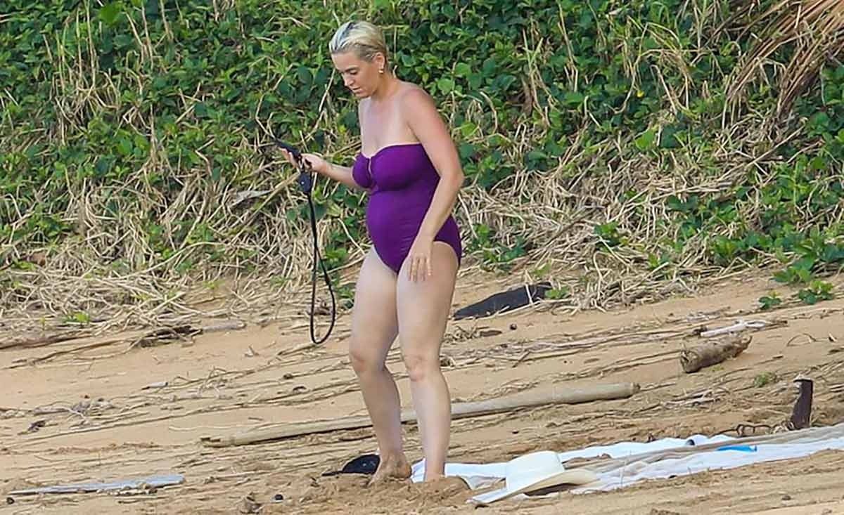 Katy-Perry-Hawai-1