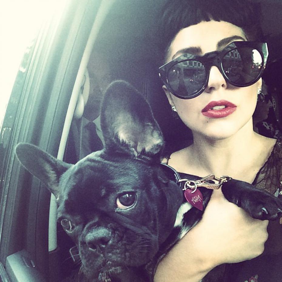 lady gaga y su perro