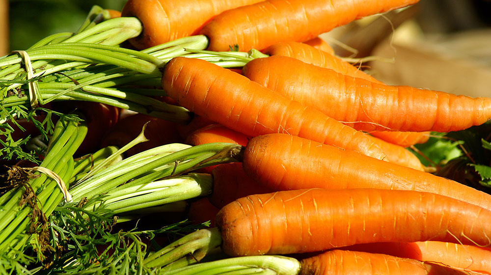 zanahorias