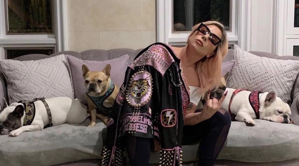 El paseador de perros de Lady Gaga aún sigue grave de salud