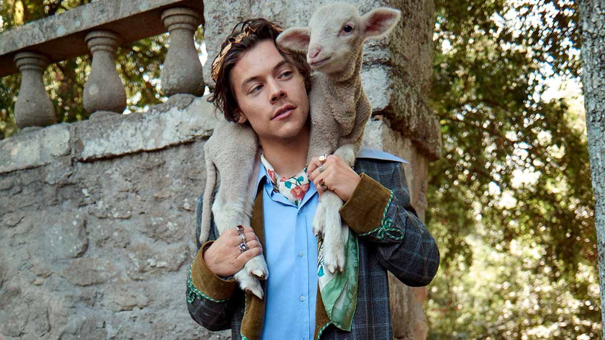 Harry-Styles-Gucci