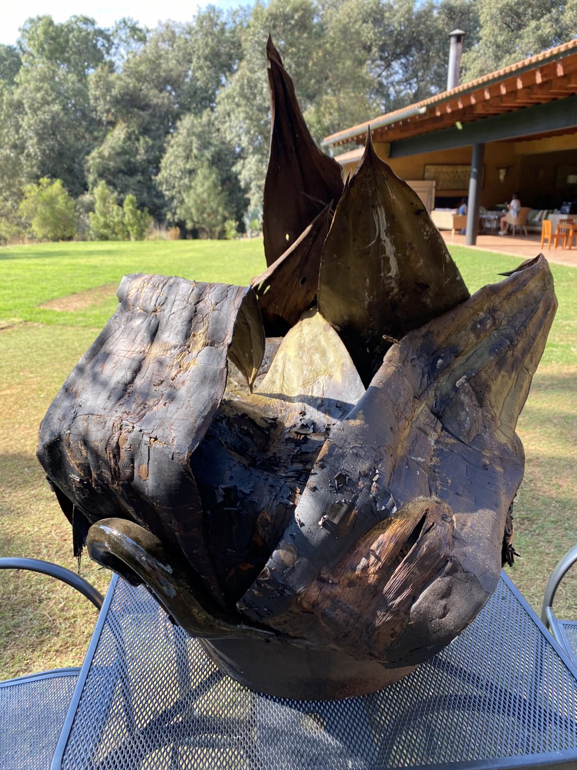 Barbacoa de hoyo
