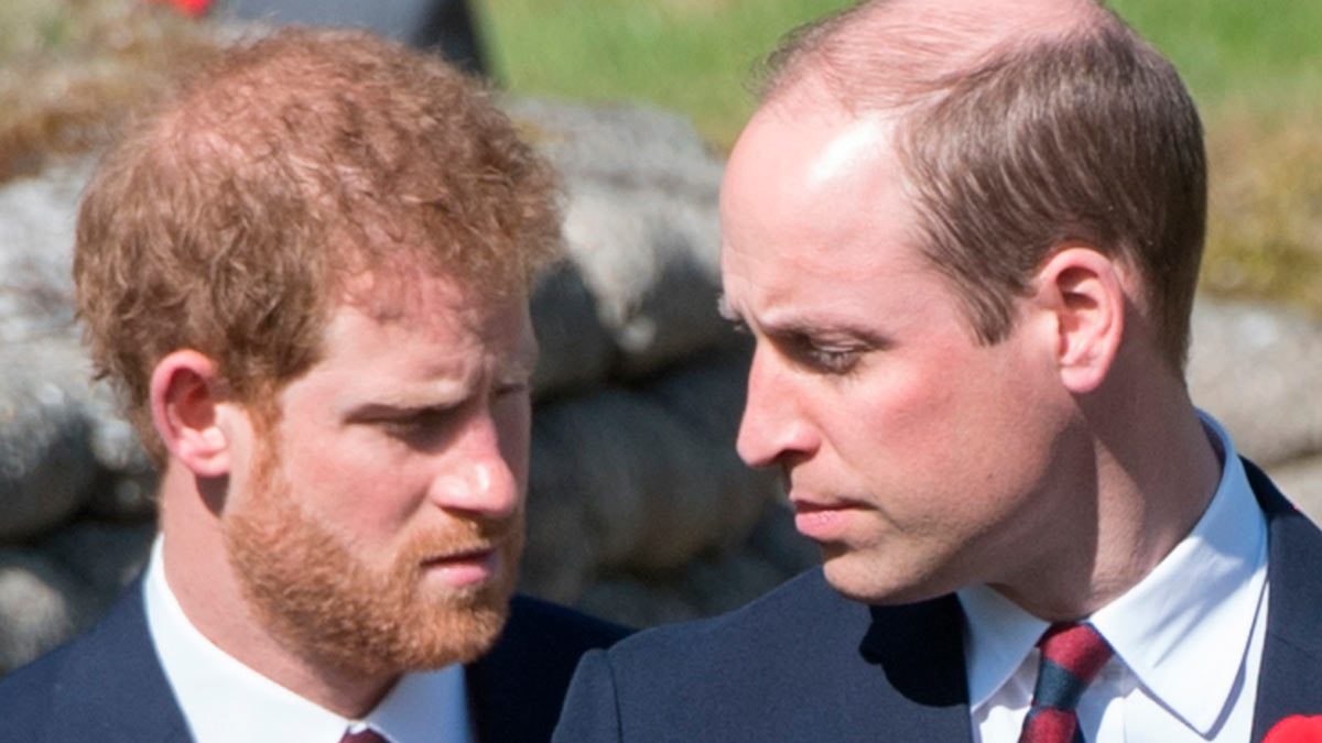 Principes-William-y-Harry