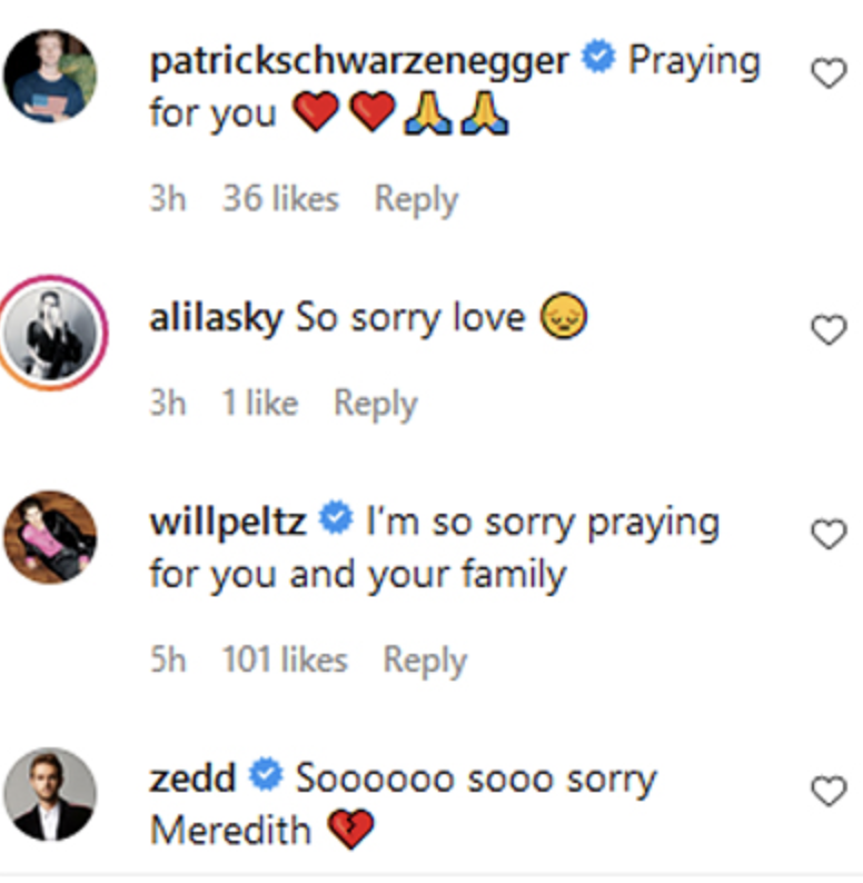 Comentarios de celebs hacia David M.
