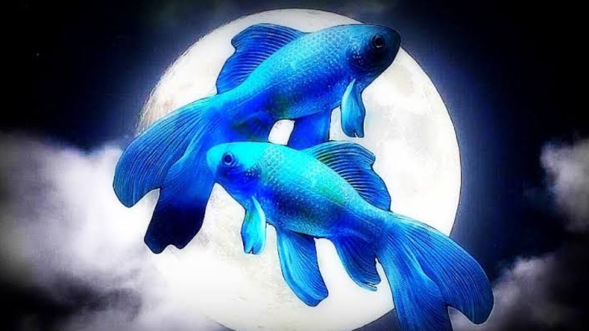 Luna llena en Piscis: apertura a los verdaderos deseos