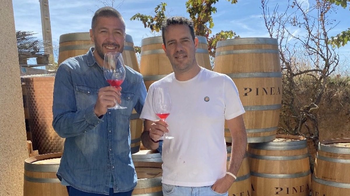 Vendimiando por la Ribera del Duero