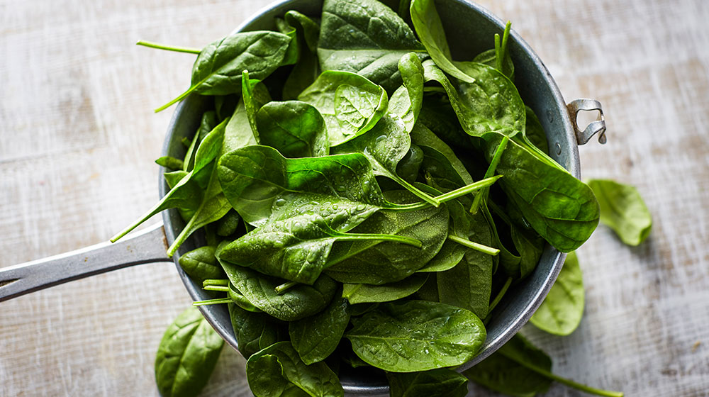 Espinaca