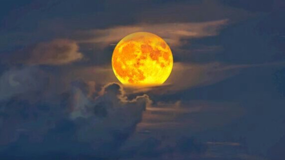 Ritual de Luna llena en Leo, tomando el control de tu vida