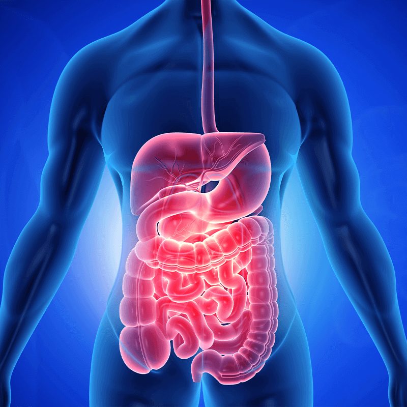El microbioma es la comunidad microbiana compuesta de bacterias, levaduras y demás microorganismos que nos ayudan a formar una barrera protectora en nuestro cuerpo