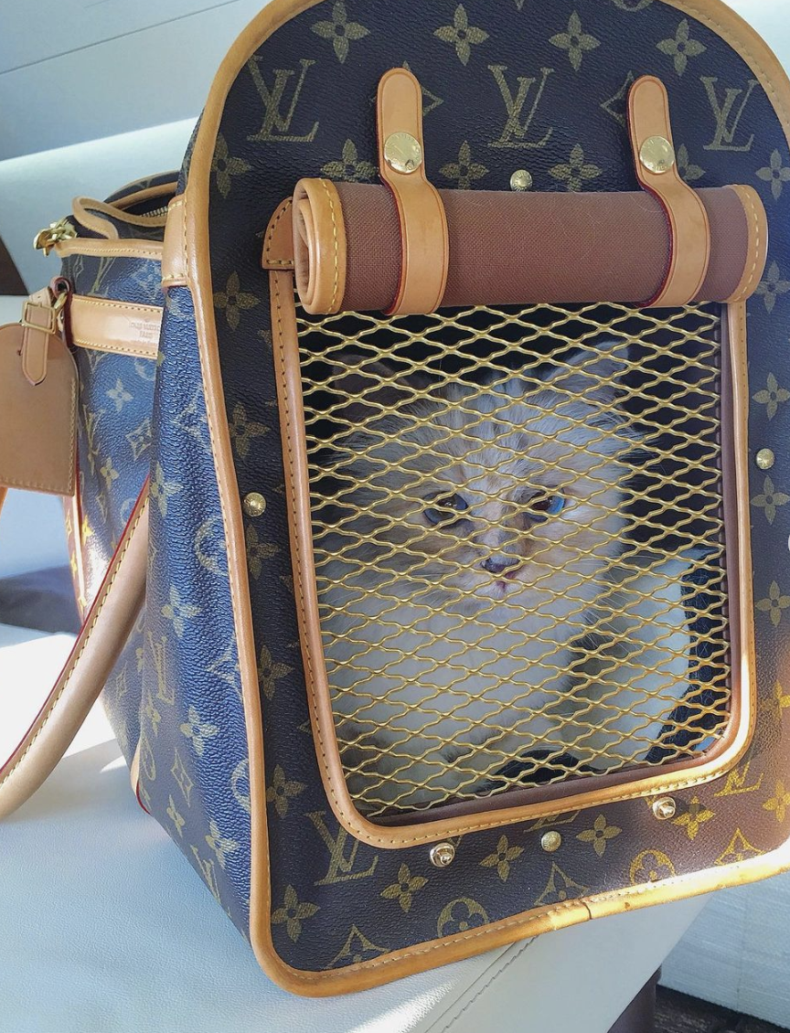 Choupette Lagerfeld