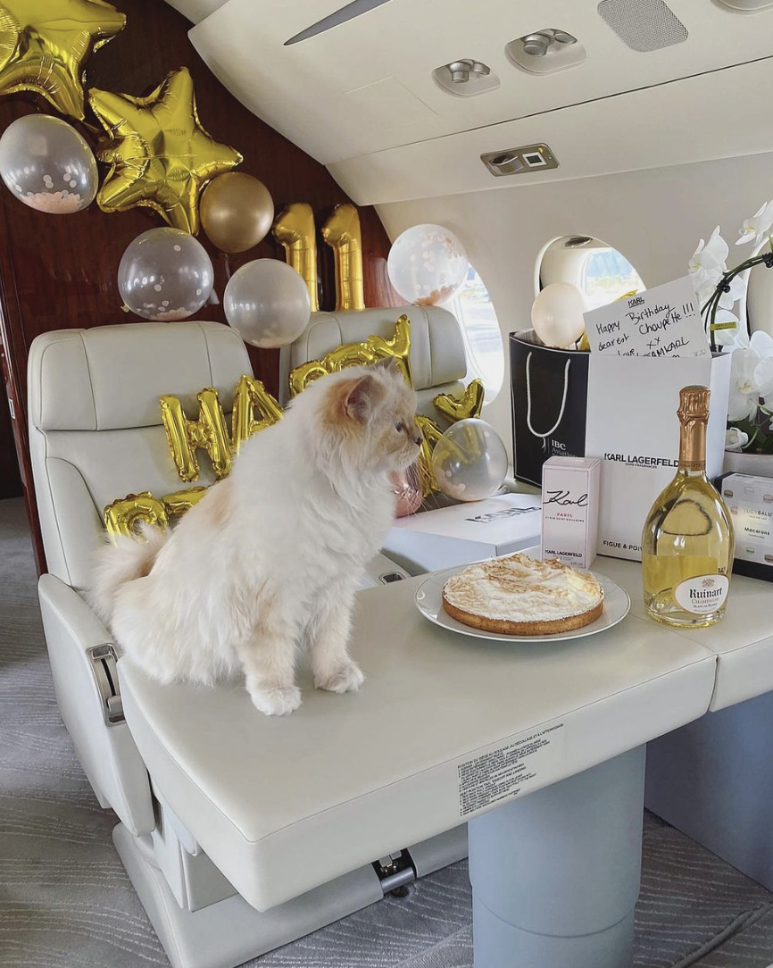 Choupette Lagerfeld