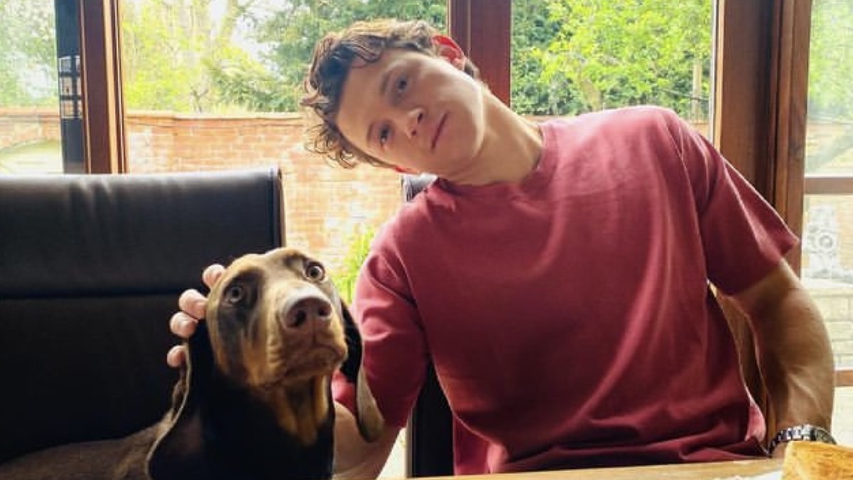 Tom Holland disfruta del verano en una playa de Los Cabos, en México