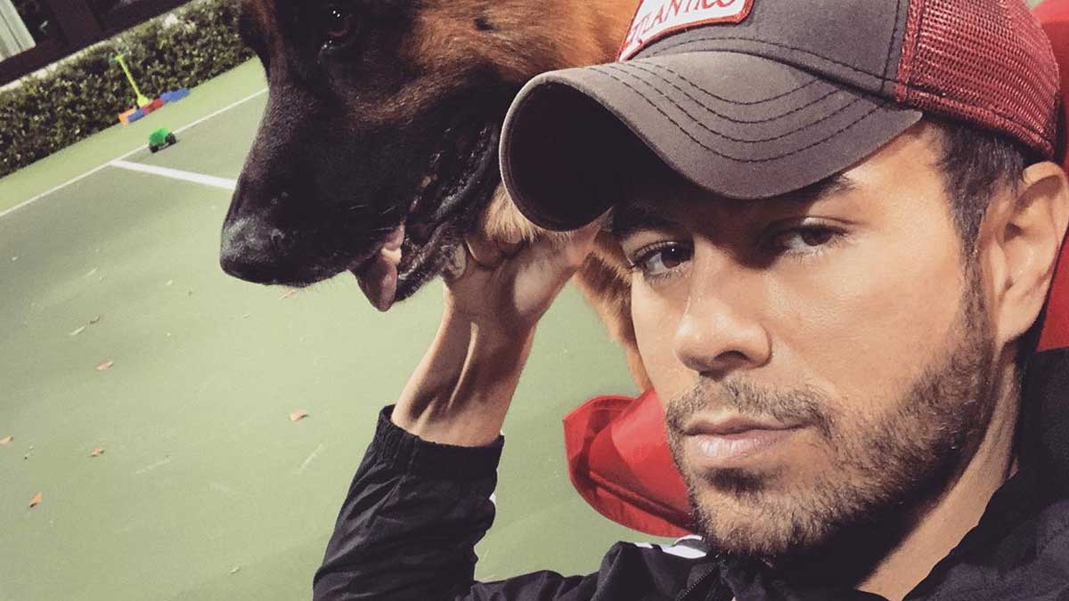 Enrique Iglesias fan