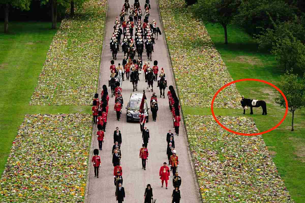 Aquí se puede ver a Emma, la pony de la reina Isabel II mientras la carroza fúnebre llega al Castillo de Windsor. 