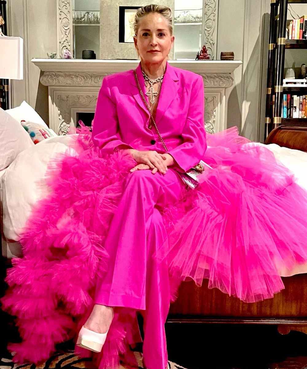 Sharon Stone se sometió a tratamientos estéticos para reconstruir su rostro, después de sufrir un derrame cerebral en 2001.  