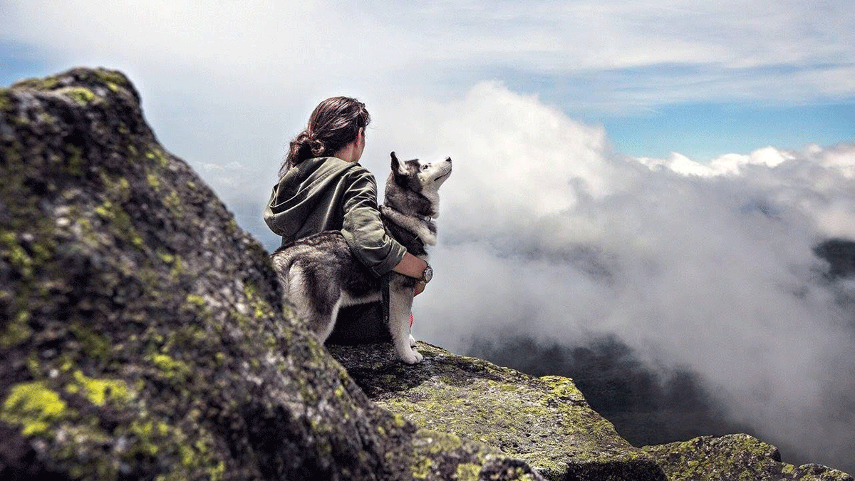 La profunda conexión con los animales, ¿por qué es tan especial?
