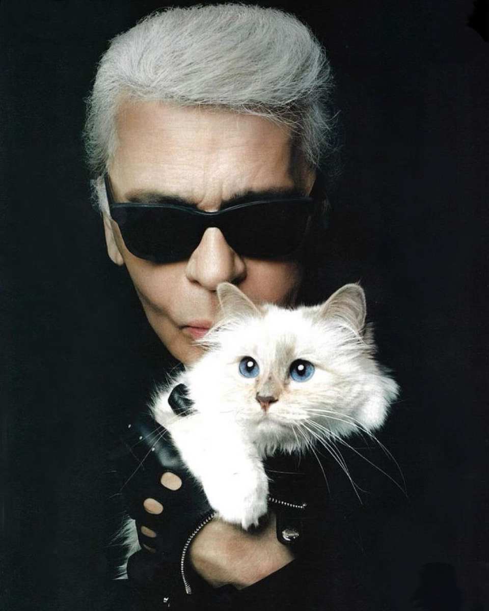 Karl Lagerfeld falleció en 2019 a los 85 años, víctima de cáncer.