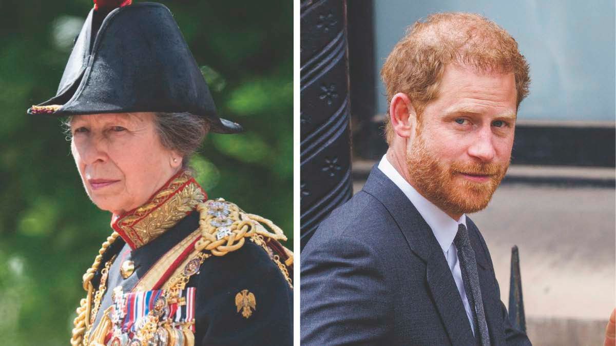 Vì lý do này, Công chúa Anne không thể che giấu tình cảm của mình dành cho Hoàng tử Harry.