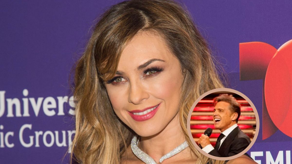 Aracely Arámbula estaría ‘incumpliendo la ley’ al no aceptar la pensión que Luis Miguel le dio para sus  hijos