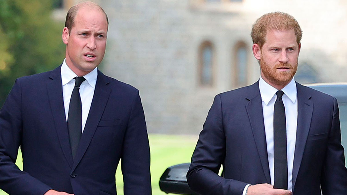 El distanciamiento entre los príncipes William y Harry es cada vez más grande.