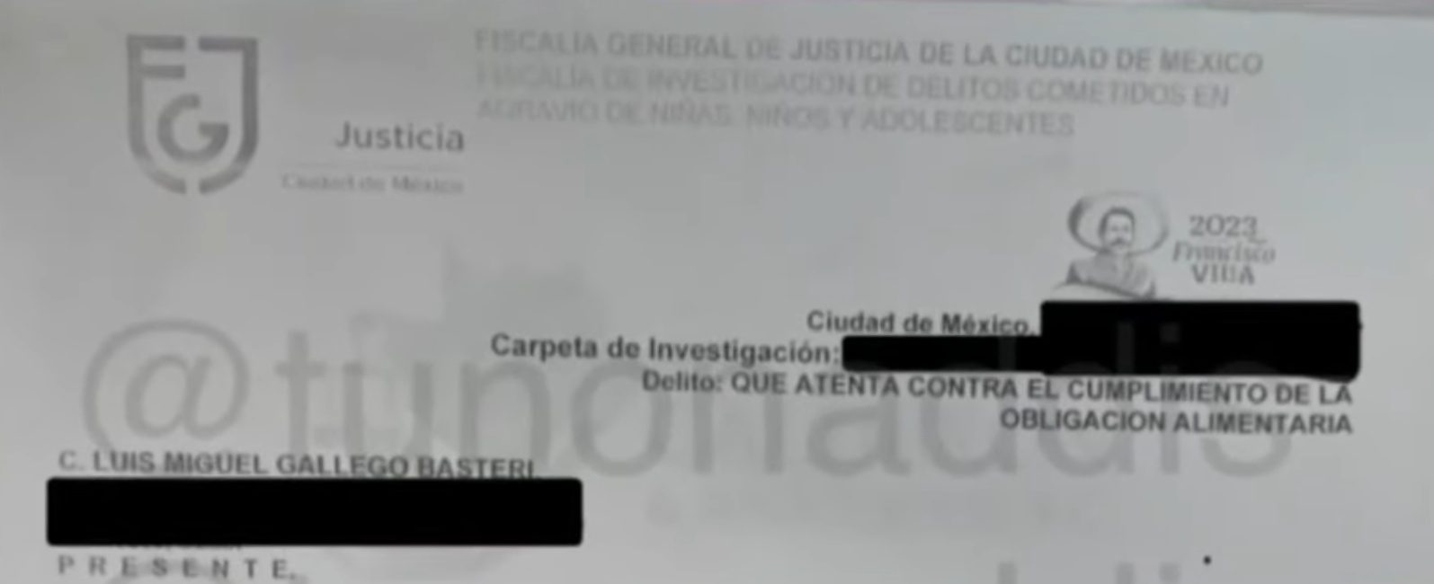 Copia de la supuesta demanda en contra de Luis Miguel por parte de Aracely Arámbula. 