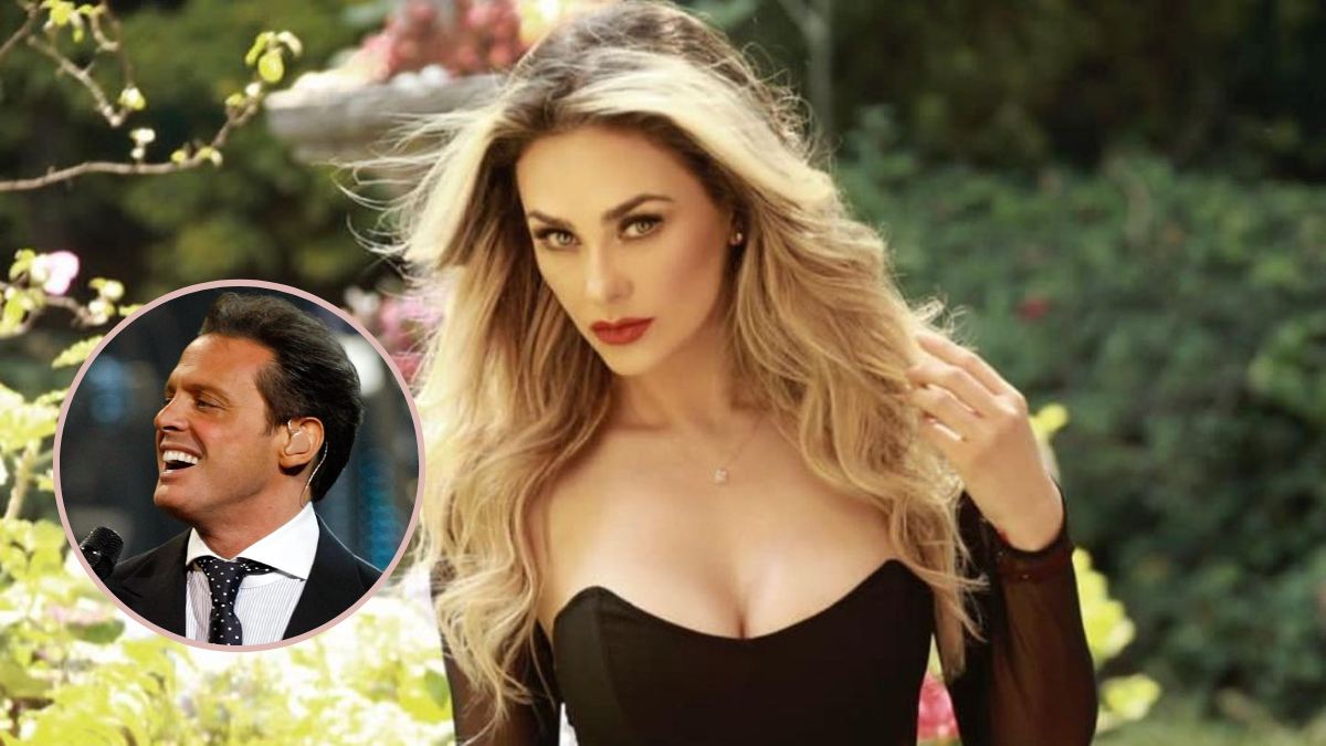 Aracely Arámbula da su versión sobre su denuncia a Luis Miguel por pensión de sus hijos, ¿su explicación es creíble?