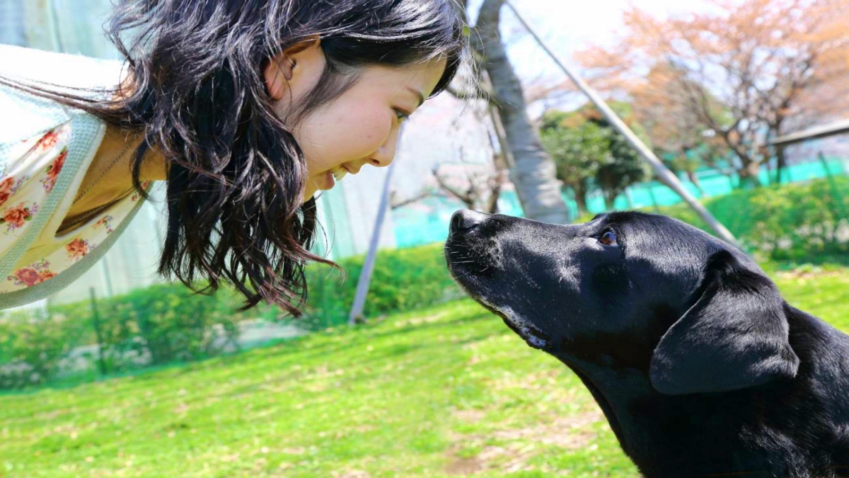 ¿Qué es la terapia de comunicación con animales?