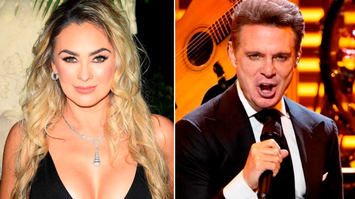 Dan ultimátum a Aracely Arámbula para cobrar el dinero que Luis Miguel depositó para sus hijos