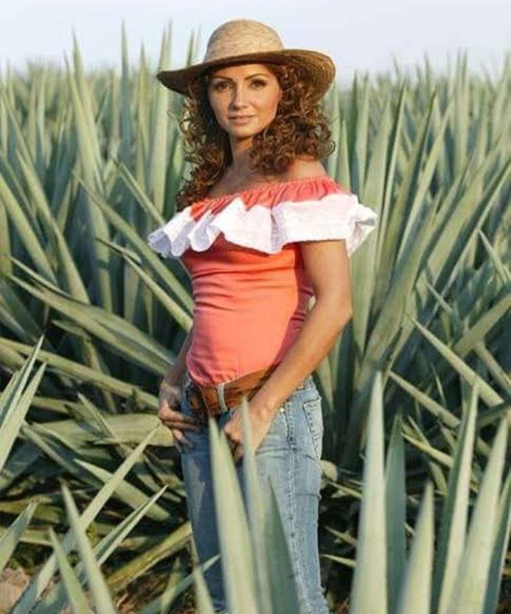 Confirmado el regreso a las telenovelas de la actriz, Angélica Rivera.