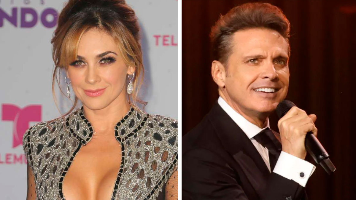 Afirman que Aracely Arámbula ya cobró el dinero que Luis Miguel entregó para manutención de sus hijos