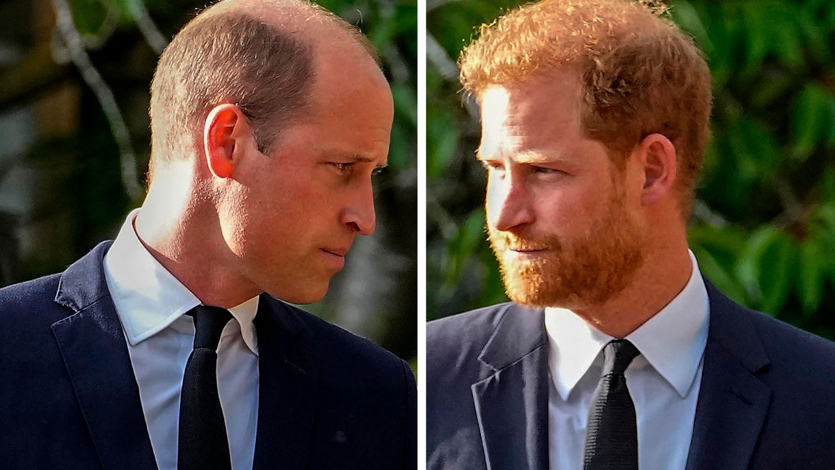Ante la incertidumbre por la salud del rey Carlos, ¿existe la posibilidad de una reunión entre William y Harry?