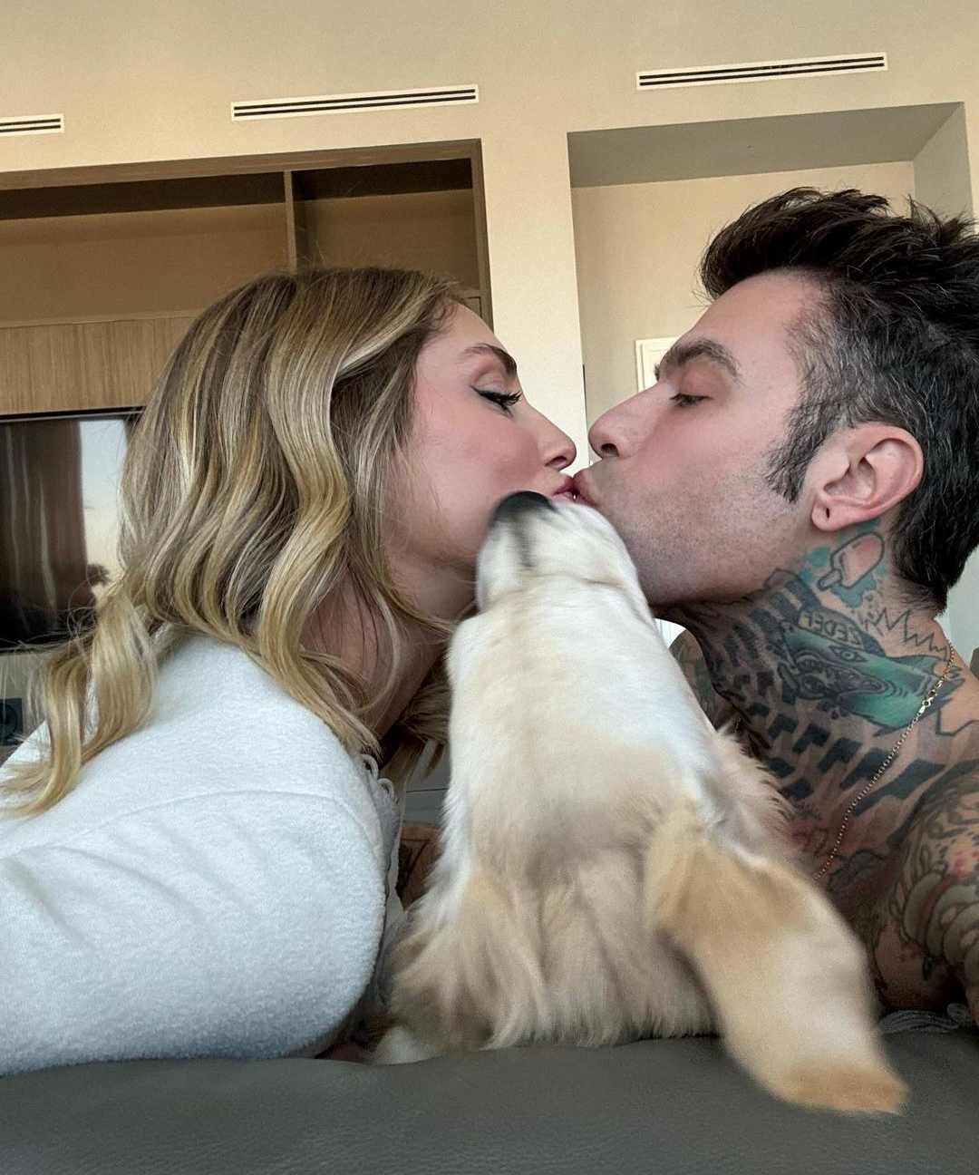 En el divorcio de Fedez y Chiara Ferragni, la batalla también será por su perrita, Paloma. 