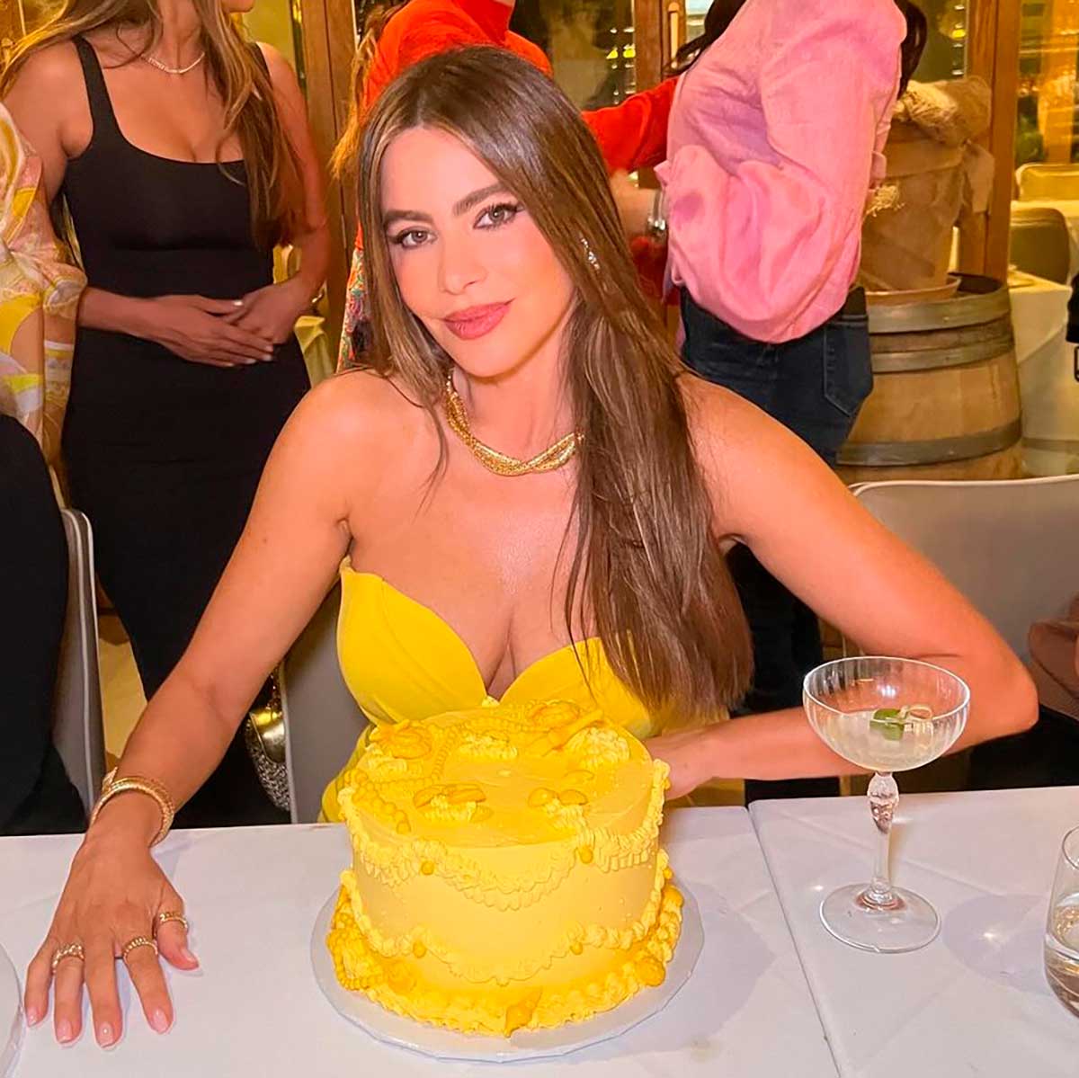 Sofía Vergara celebró su cumpleaños 52 con gran festejo