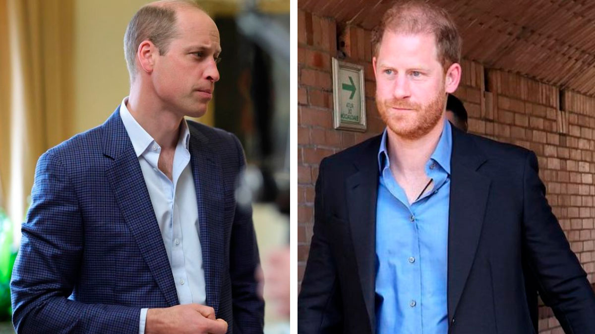 Nueva información revela cómo la muerte de la reina Isabel empeoró el distanciamiento entre los príncipes William y Harry