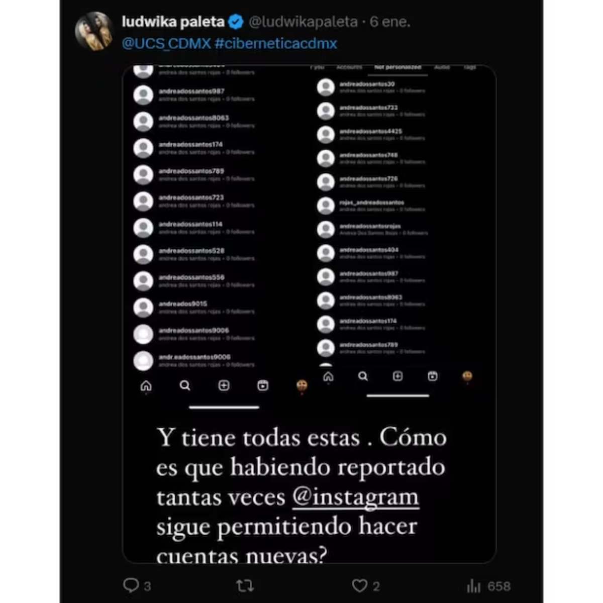 Ludwika Paleta pidió ayuda a sus seguidores para reportar al usuario que la acosa y amenaza.